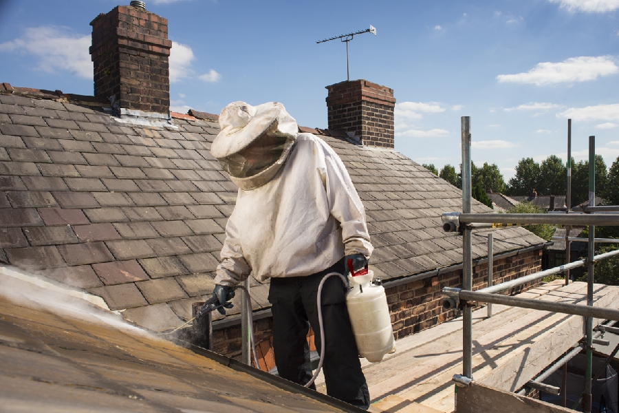 Pulvérisateur à poudre DR5 de Birchmeier - DR-5