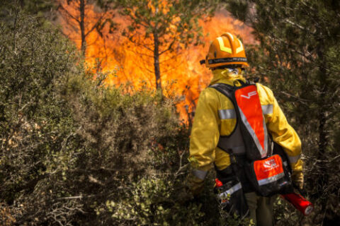 Foppa incendie de forêt